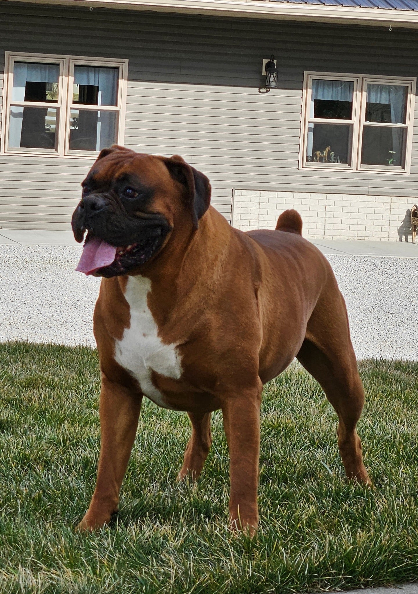 Dozer - Father